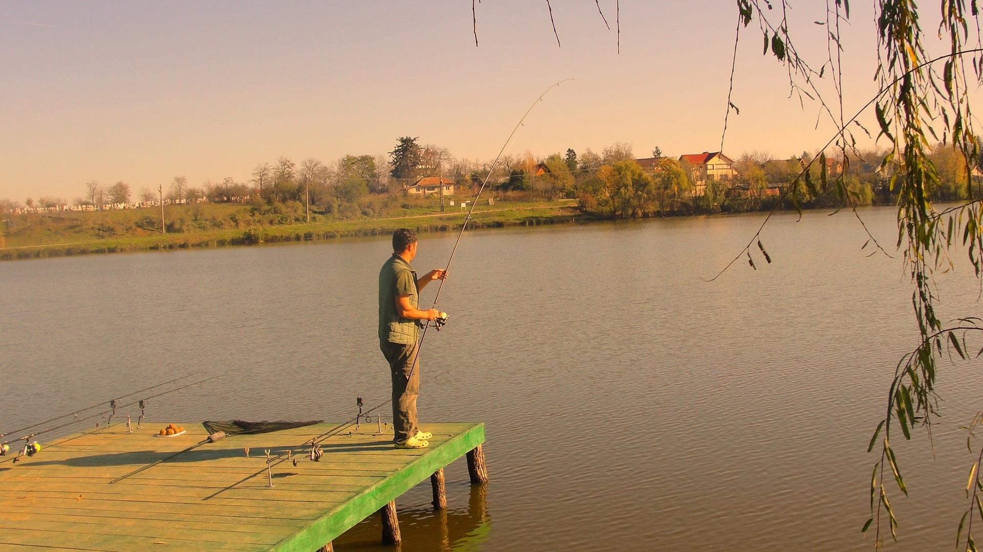 Moara Vlasiei 2 9 - 9 nov. - dsc02945.JPG